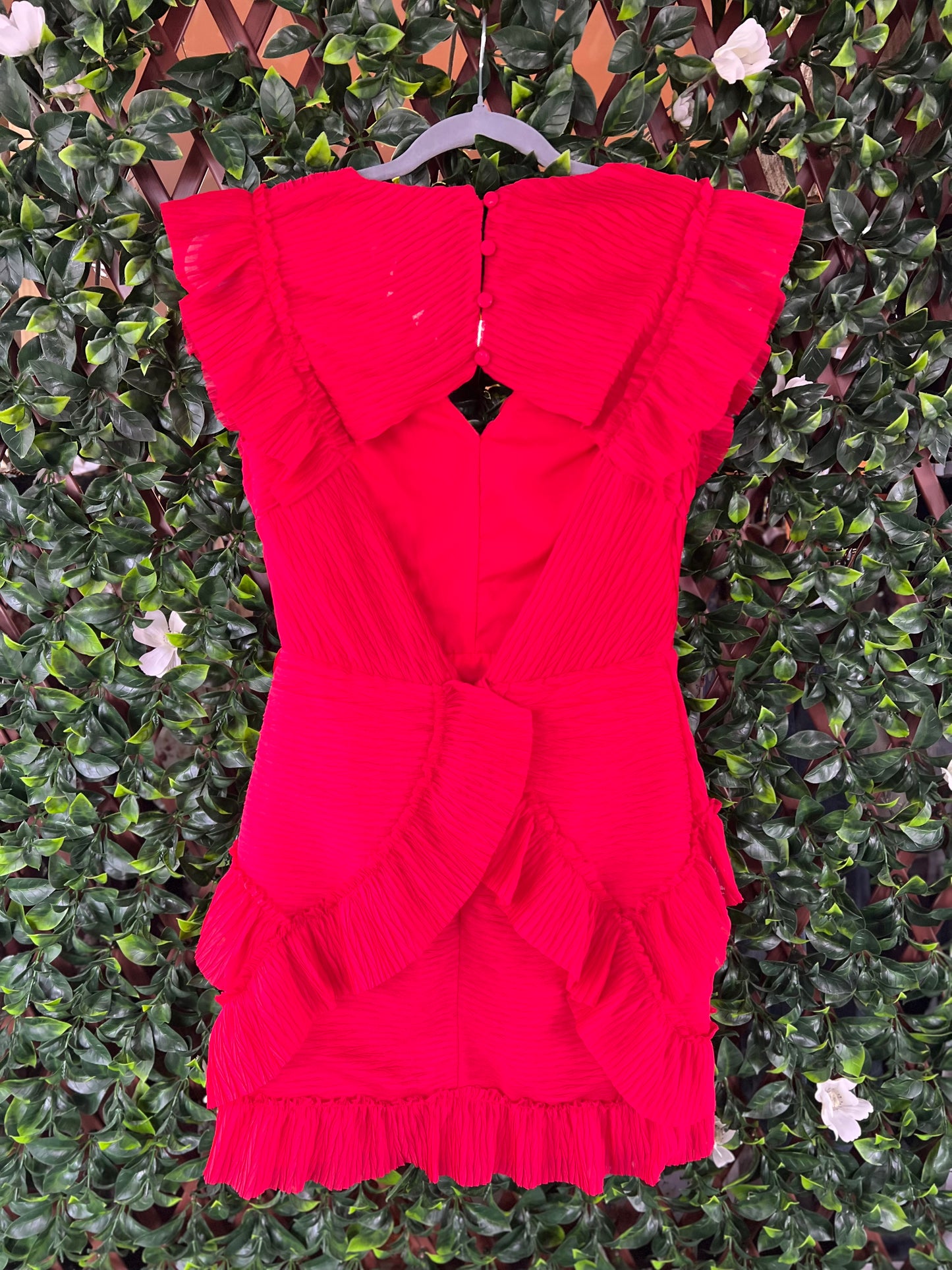 Ruffle Mini Dress