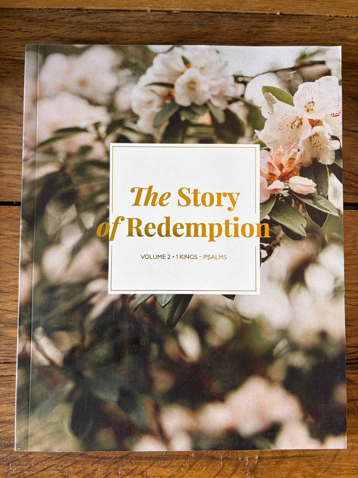 The Story Of Redemption Vol. 2
