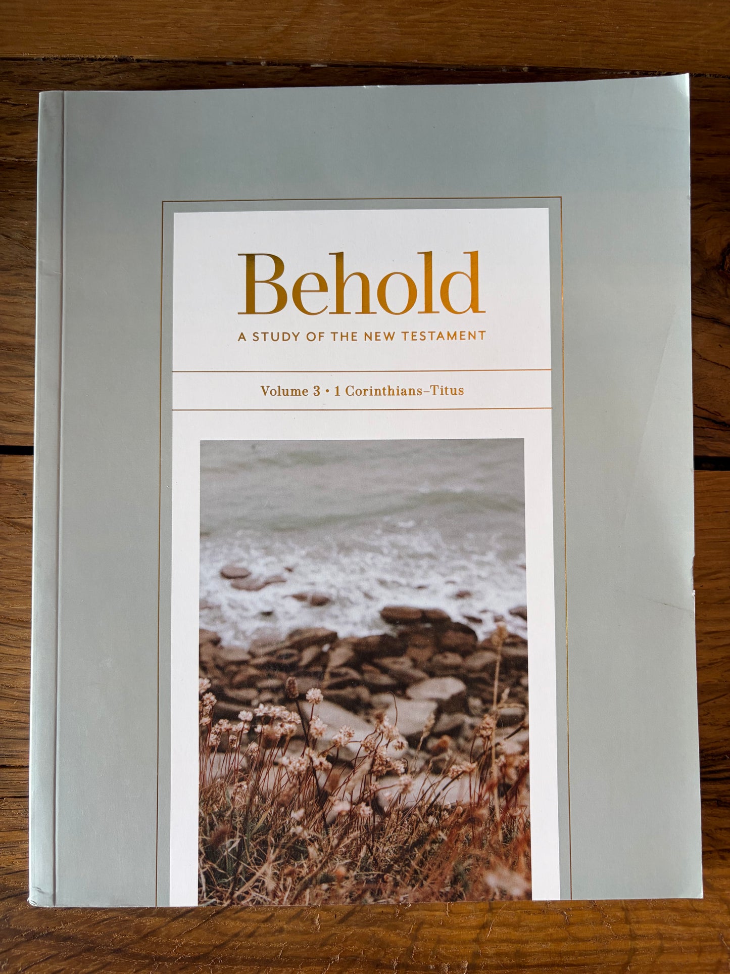 Behold-A Study Of The New Testament Vol. 3