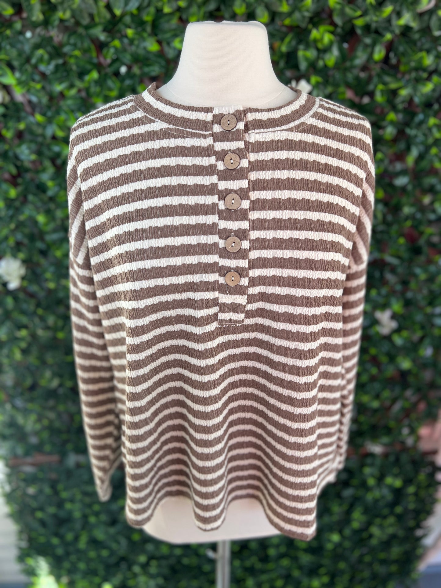 Brown Stripe LS Top