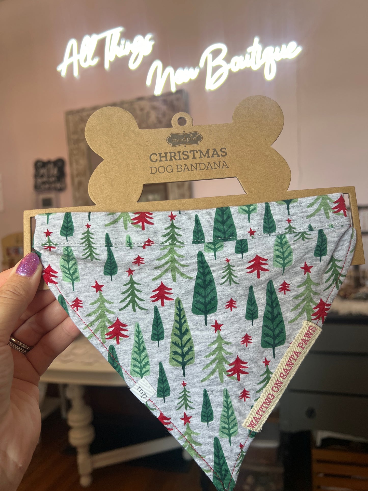 Family Pajamas Dog Bandana