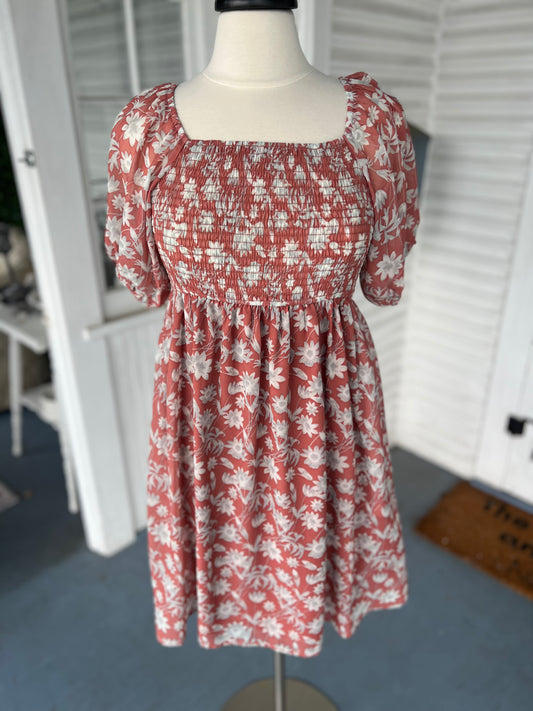 Silvered Ember Dress
