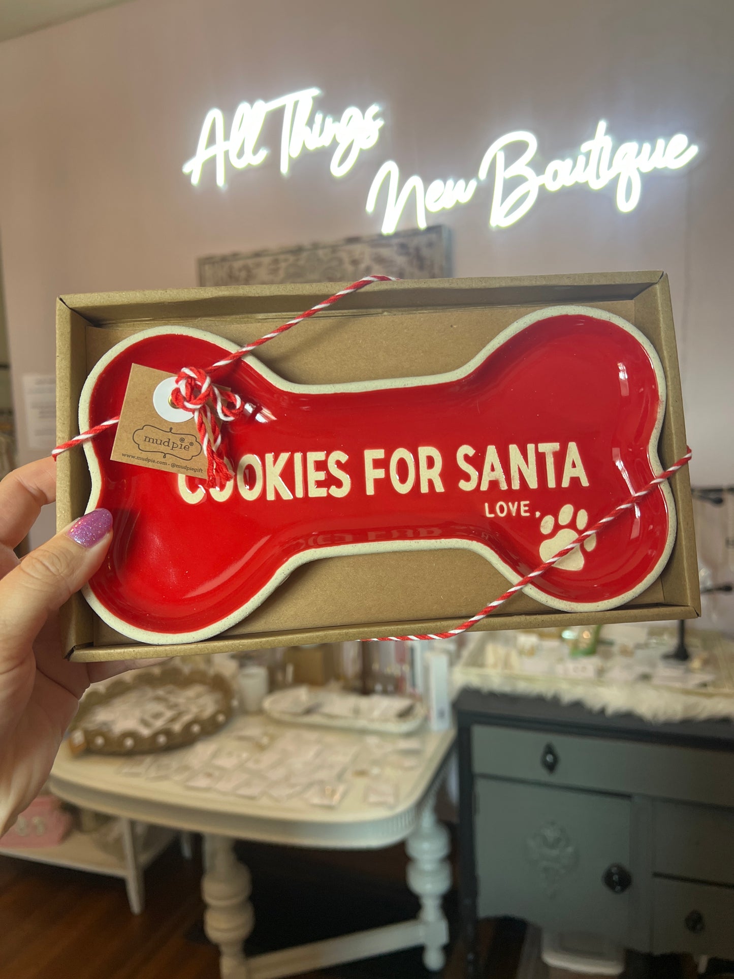 Pet Cookies For Santa Plate