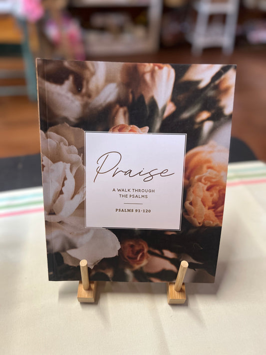 Praise | A Walk Through The Psalms