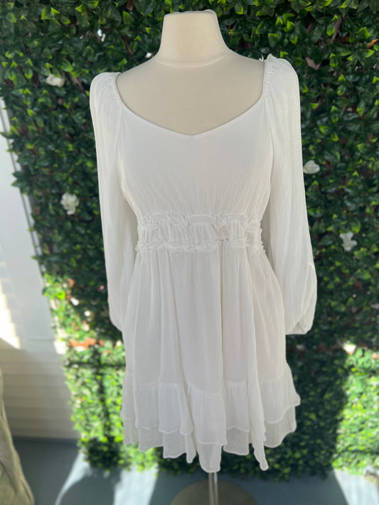 Taige LS Textured Dress