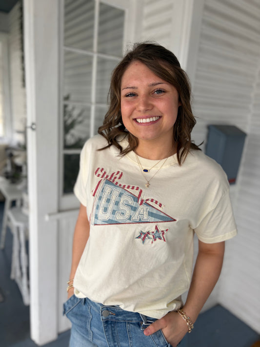 USA Pennant Tee