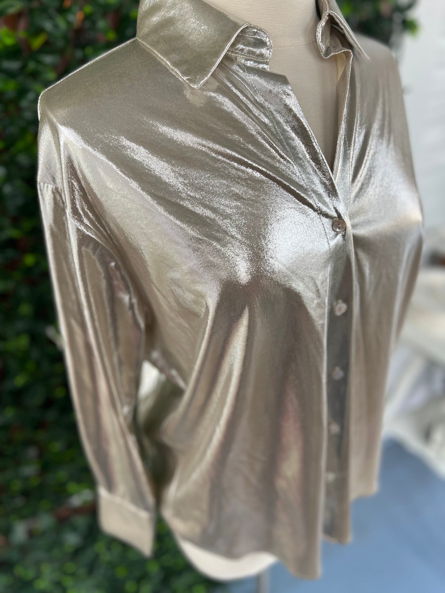 Metallic LS Blouse