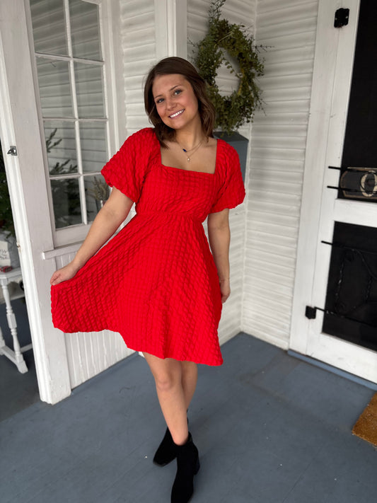 SS Textured Puff Sleeve Dress