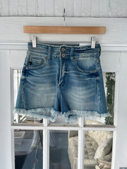 High Rise Frayed Hem Denim Shorts