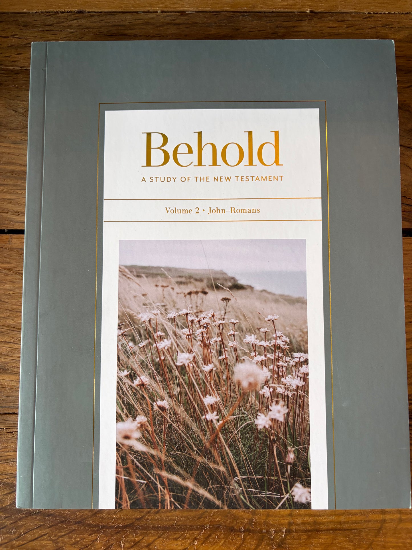 Behold-A Study Of The New Testament Vol. 2