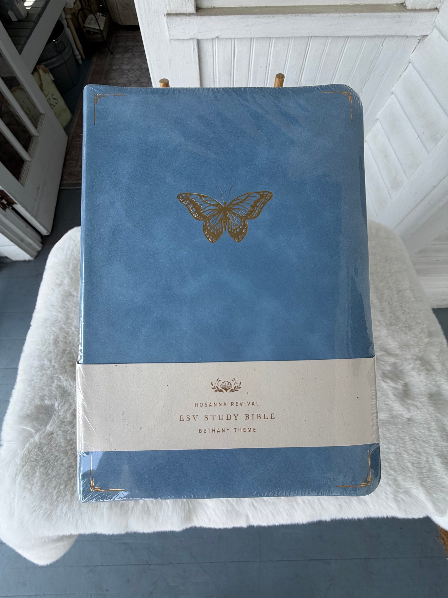ESV Study Bible - Bethany Theme