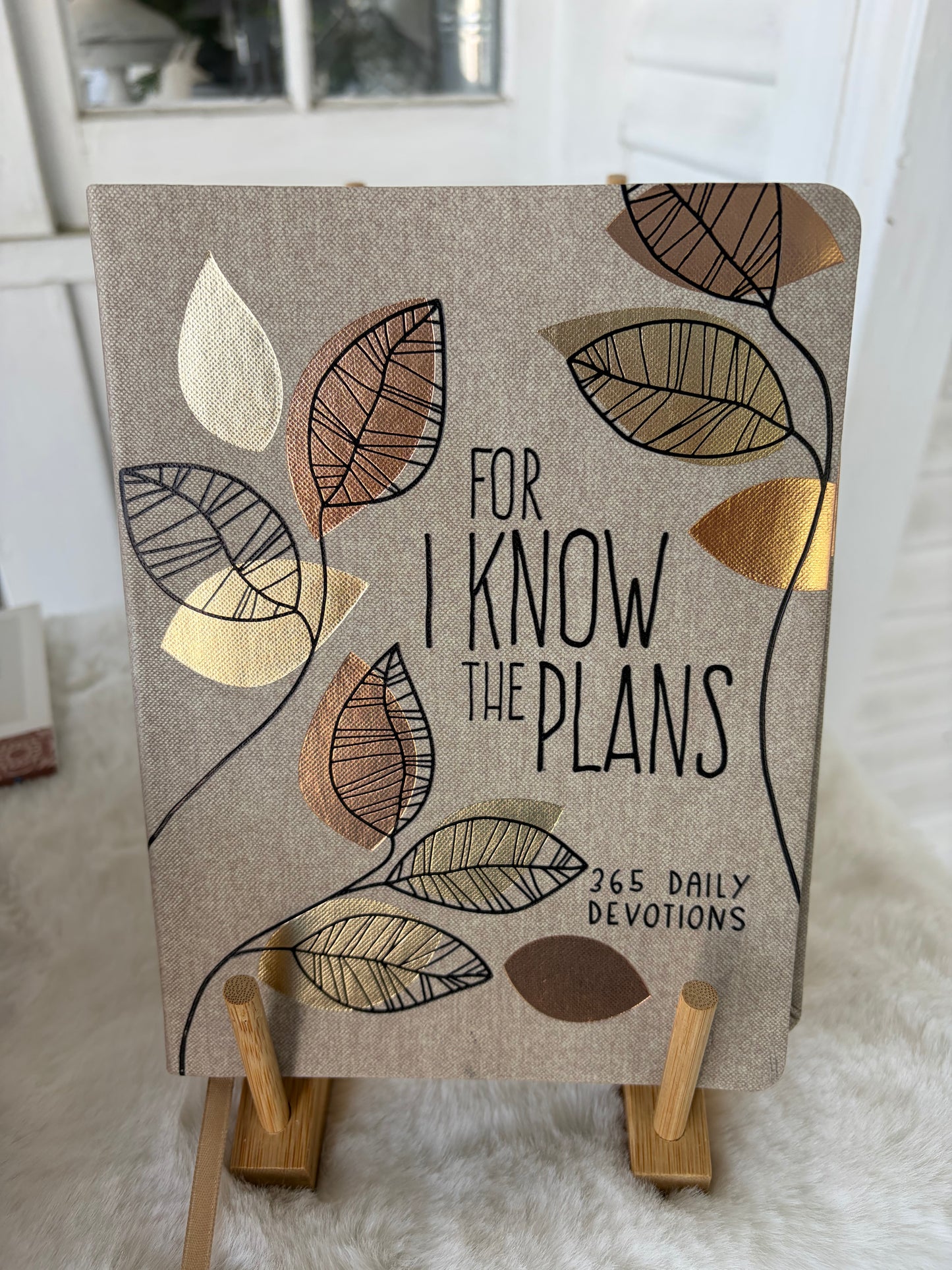 For I Know The Plans