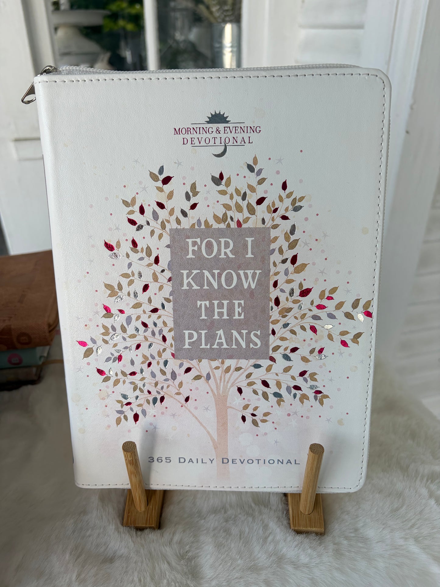 For I Know The Plans