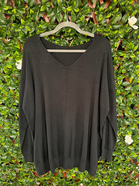 Long Sleeve Vneck Top